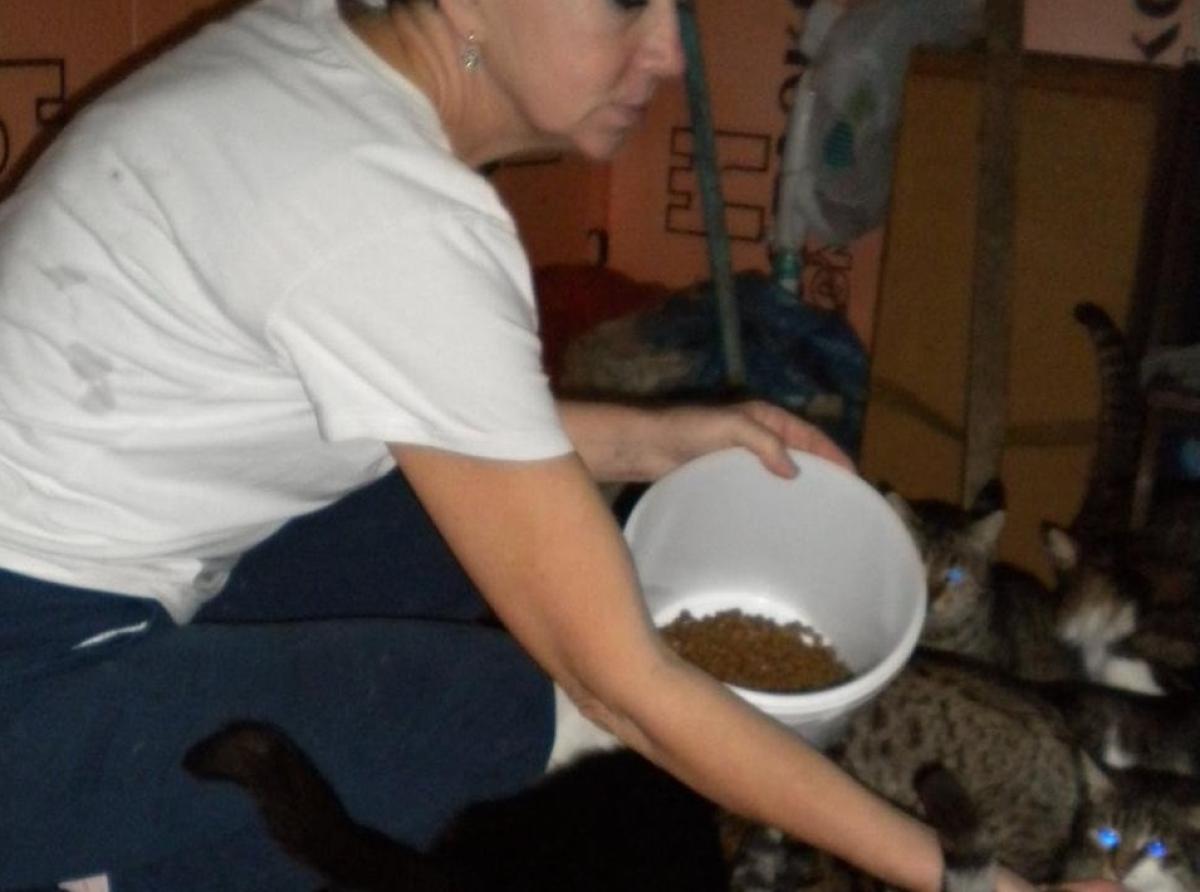 A volunteer from Sevastopol helps homeless cats